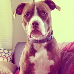 Meet your Posher, Tessa